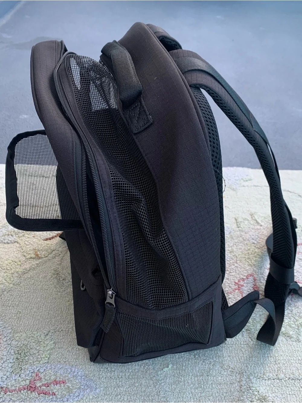 Reddy Black Cotton Canvas Pet Carrier Backpack